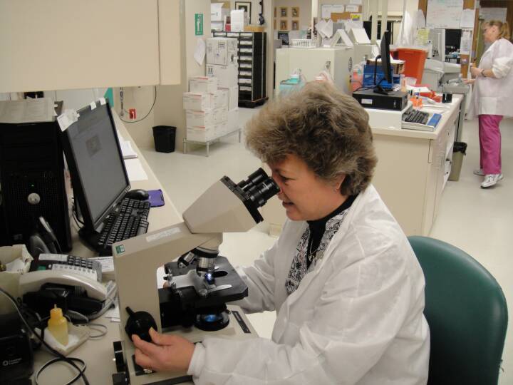 Laboratory Laboratory